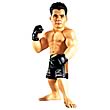 World of MMA Champions Cung Le Action Figure